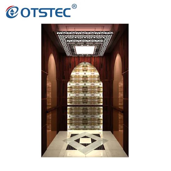 Vvvf Small Machine Room High Quality Lift Elevator Passenger Elevator - Image 5