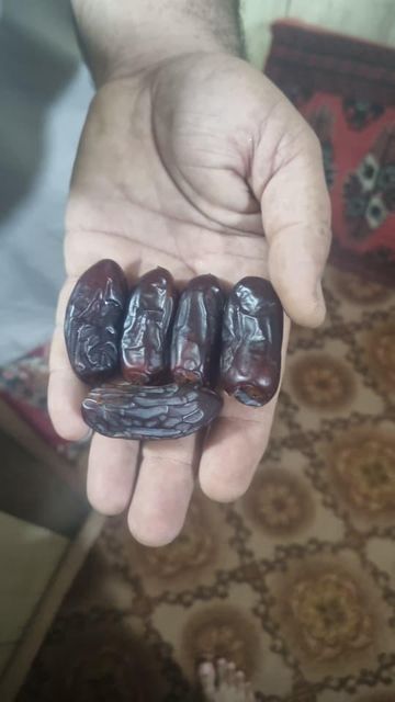 Iranian Dates Organic Yes Origin iran Type Grade 1 Packaging small and carton Packagings Variety Kabkab, Mazafati, Piarom, Rabbi, Sayer, Zahidi - Image 3