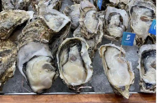 Hot Selling (Whole Shell) Frozen Fresh Good Oysters Japanese Ingredients oyster Model Number p2-05 Storage Type Frozen Place of Origin - Image 3