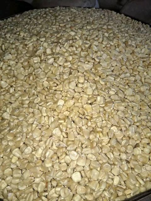 Premium Non GMO White Corn Grade 1 14% Moisture Max 50kg PP Bags For Wholesale Exporters - Image 3