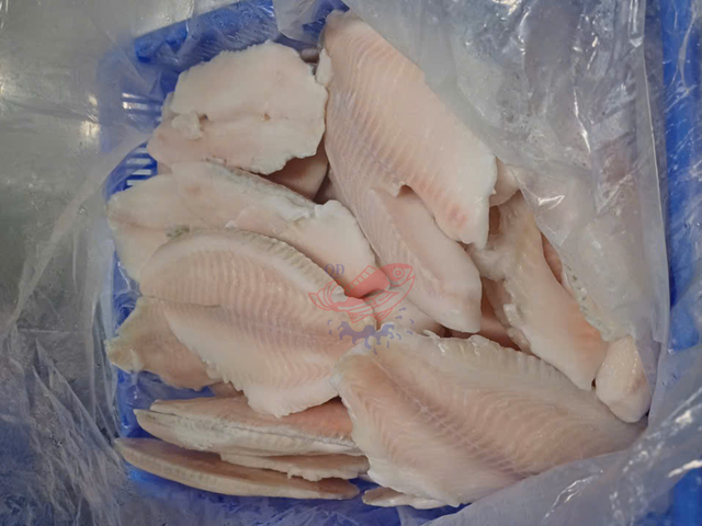 Frozen Tilapia Fillet Freshness Level Frozen - Image 2
