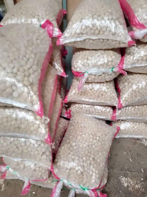 Candlenuts - Image 4