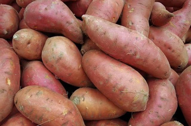 Potato,sweet potato Organic Yes Freshness Level Fresh Degree of Processing Other - Image 3