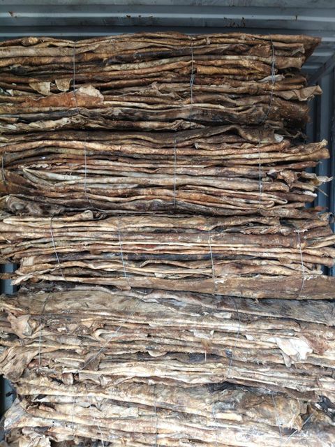 Dried Cow Hides - Image 4