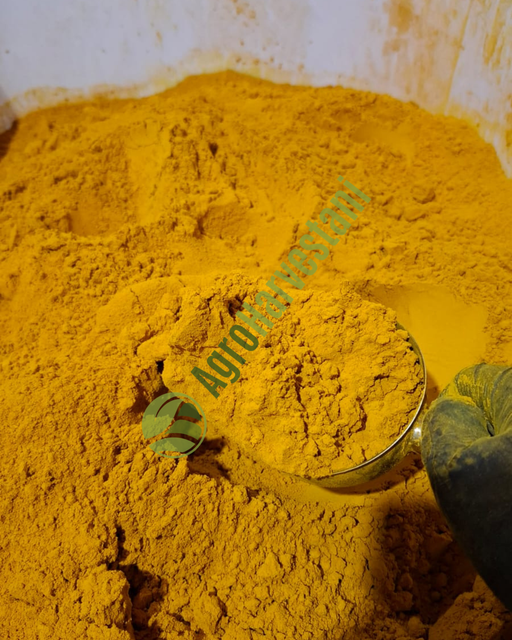Premium Indonesian Turmeric (Available in Fresh, Dried Slices, and Fine Powder) - Image 2