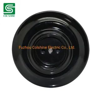 Antiquated Porcelain Flush Mounted Wall Socket Without Ground - Image 3