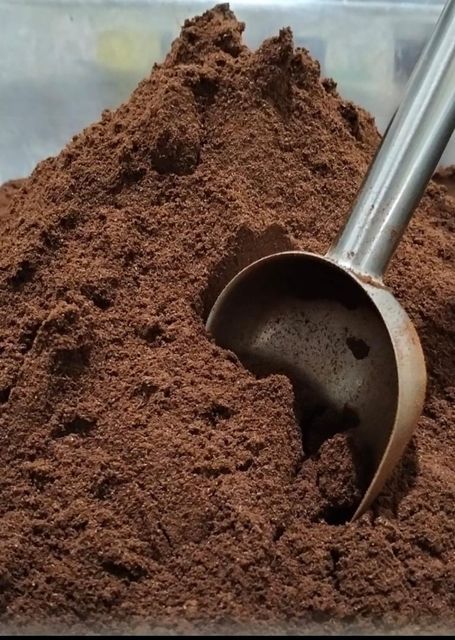 Vanilla Powder - Image 1