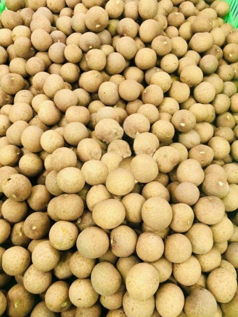 Fresh Longan fruit Vietnam with high quality low price and VIETGAP certification for export ready to shipping EU ,US ASIA Market - Image 4