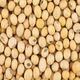SOYBEAN NON GMO # 1( HUMAN CONSUMPTION) - Image 5