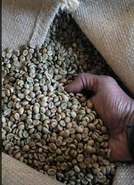 Premium Roasted Arabica & Robusta Coffee Beans Export Quality Whole Bean Coffee Bulk Supply - Image 4