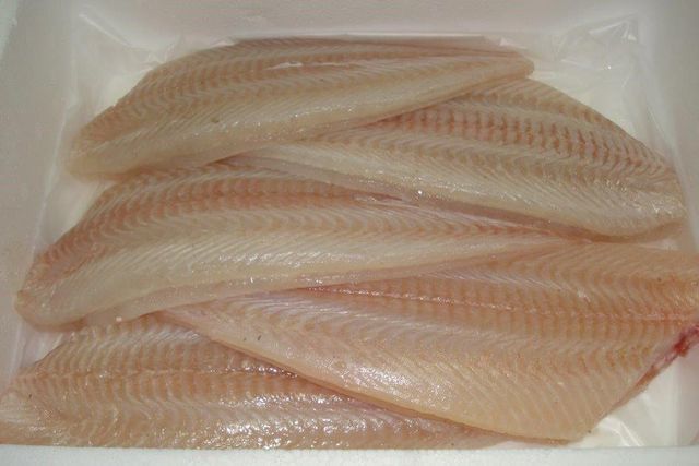 Frozen White Fish Fillets For Everyday Cooking With Versatile Serving Options and Convenient Frozen Storage - Image 5