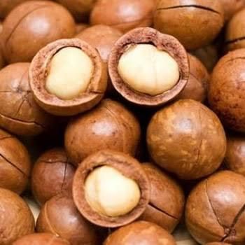 Macadamia Dried Nuts Premium Quality Macadamia Nut Product Shelf Life 2 Years Place of Origin THAILAND - Image 3