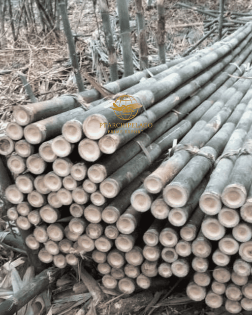bamboo pole / green bamboo - Image 1
