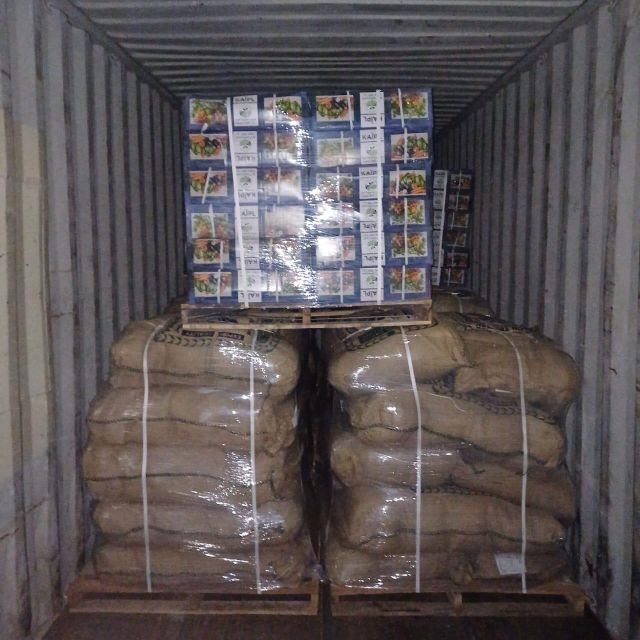 Vegetable seeds Germination Rate High Shipment Readiness Immediate Yielding Performance Excellent Delivery Method Local Delivery - Image 4