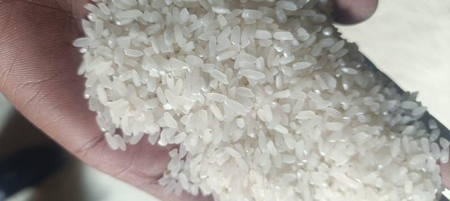 Swarna Raw Rice - Image 2
