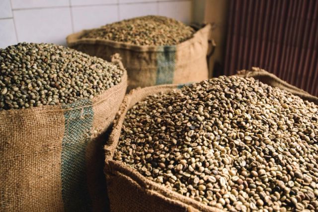 Green Coffee Beans Origin Other Features Organic Grade First class Taste Subtly Bitter Form Raw Coffee Seeds Product Type Beverages - Image 3