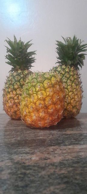 Fresh Pineapple Organic Yes Features Organic Natural Sweetness Yes Degree Of Maturity Mature Degree of Processing Whole Transport Method 40 Ft Container - Image 4