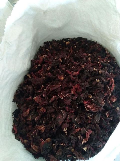 Hibiscus – product photo 3, product detail gallery