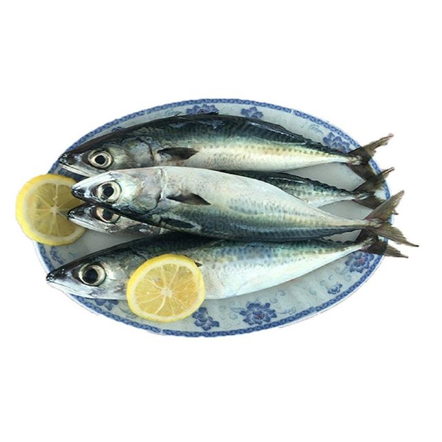 Wholesale Fresh Frozen Fish Mackerel Frozen Whole Mackerel Prices Frozen Pacific Frozen Horse Mackerel Fish - Image 4