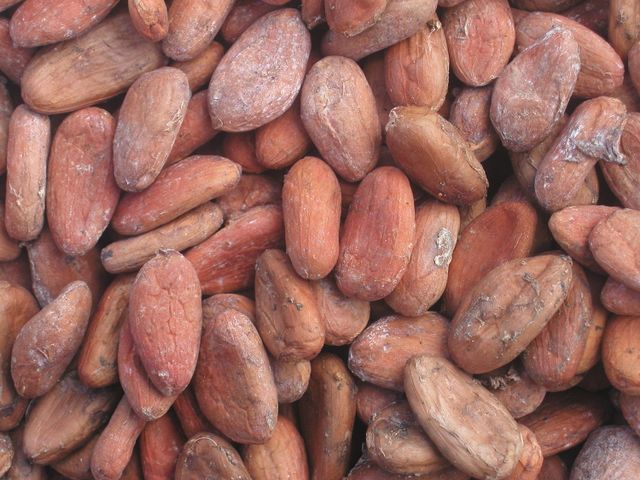 Good Quality Dried Grade A Cocoa Beans cocoa powder cocoa butter/ Cacao/ Chocolate Bean [phone number hidden] - Image 3