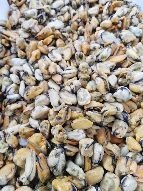 FROZEN MUSSEL MEAT Packing Specification 1kg/bag, 10kg/ctn Particle Size Distribution 100-200 Pcs/kg Before Ice, 60-80 Pcs/kg Before - Image 1
