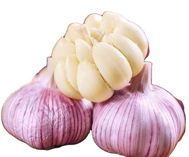 Garlic fresh pure white garlic wholesale fresh vegetables 20kg mesh bag fresh white garlic - Image 3