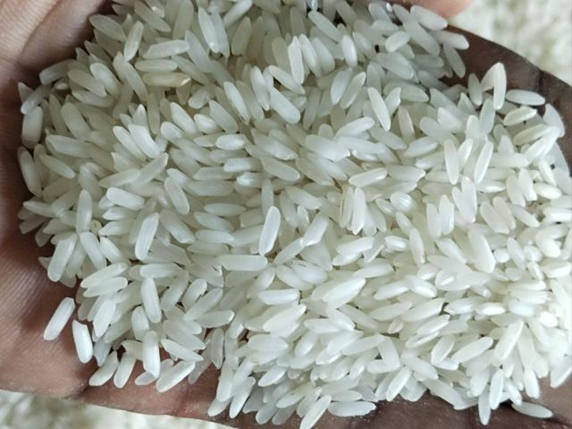 Factory Direct Supplier Very Low Price Rice Cheap Wholesale 100% Pure Fresh Basmati Rice for Sale Discounted Prices - Image 4
