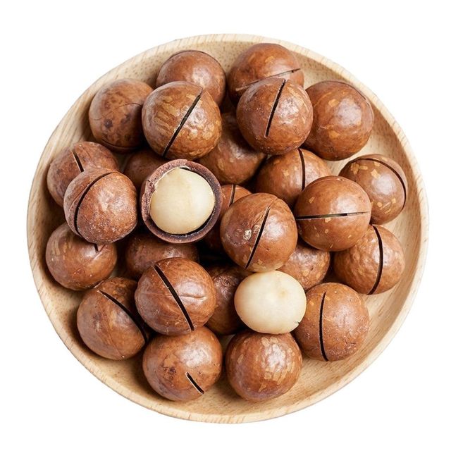 Wholesale Natural Macadamia Nuts Premium Bulk Supply Fresh Roasted Snack Healthy Delicious and Nutritious for Export - Image 5