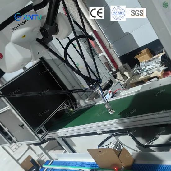 Automatic 3-Axis Robot Arm Carton Case Packing Machine Top Load Parallel Robotic Case Packer for Soft-Bags and Pouches - Image 2