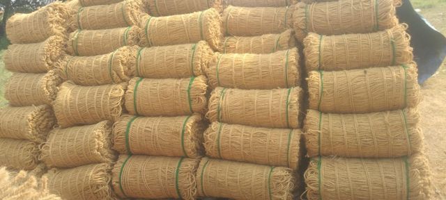 2ply coir yarn Texture Coir Quality Very - Image 1