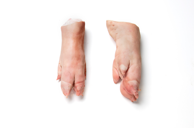 FRESH FROZEN PORK FEET PROCESSING FROZEN PORK FRONT FEET HIGH QUALITY - Image 3