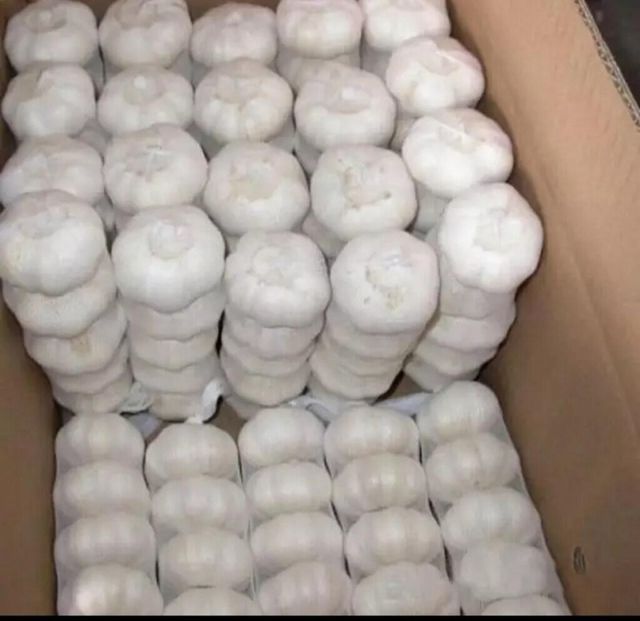 Fresh Garlic - Image 3