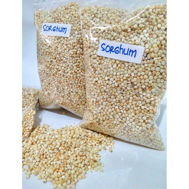 Premium Sorghum Grain With High Nutrient Content And Safe Processing For Global Trade Markets - Image 4