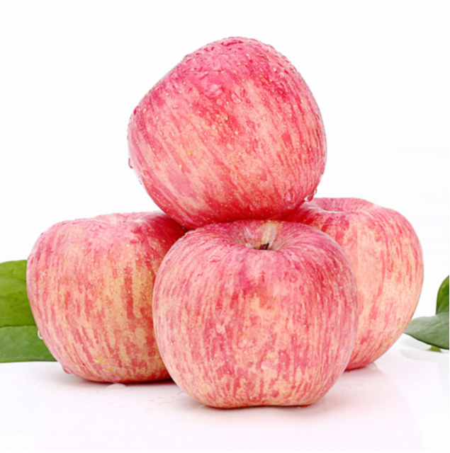 High Quality Organic Red Fuji Apples Freshly Harvested Top Grade Selection For Wholesale Buyers Export Markets - Image 3