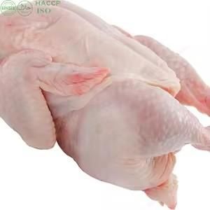 Whole small Halal Chicken 800-1200 Gr - Image 1