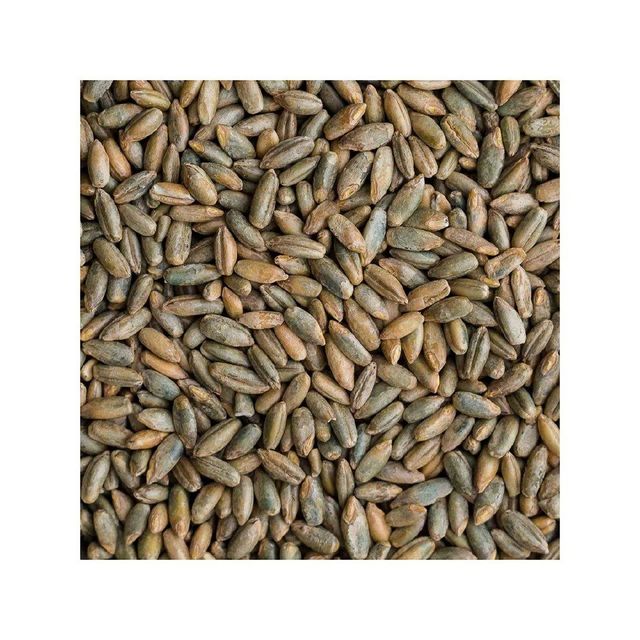 Pure rye grain wholesale bulk ready for export worldwide - Image 4