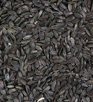 Sunflower Seed Kernels For Sale. best quality raw & roasted cashew ,Apricot ,pistachio ,hazelnuts,pine ,walnut, macadamia nut. - Image 4