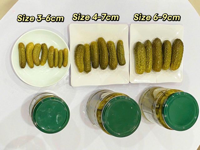 Pickled cucumber Brix 5-6% Acidity 0.3-0.4% Flavor Profile Gherkins, Water, Salt, Axit Axetic, Onion, Yellow Mustard Seeds, - Image 1