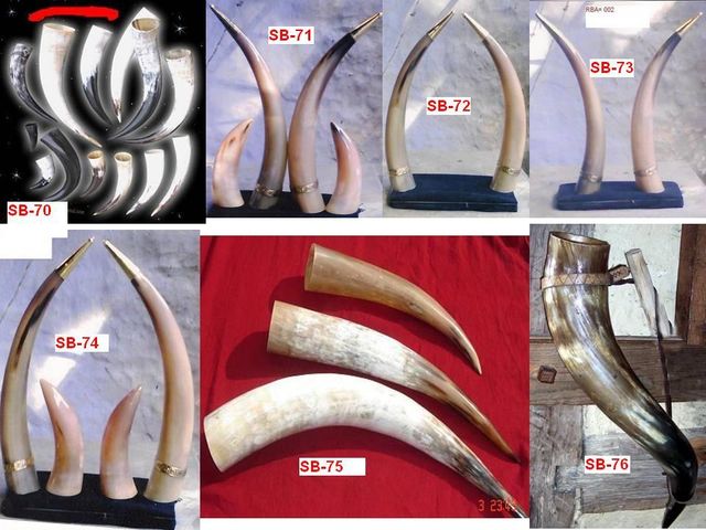 Cow Horn Drinking Horn - Image 1
