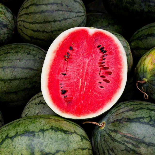 Premium Export Fresh Watermelon From Selected Farms With Hygienic Packing For Global Importers - Image 2