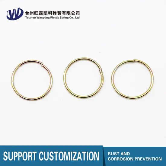 Customized Steel Wire Formed Clothes Clip Circular Spring - Image 2
