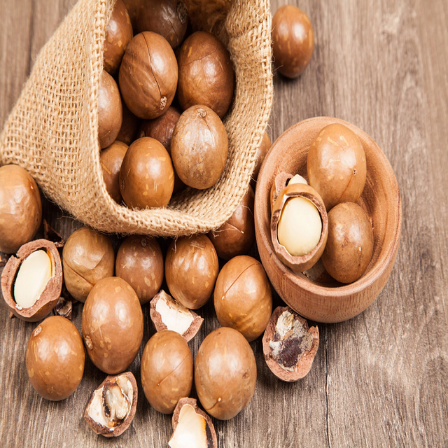 Agriculture Product From Excellent Quality Macadamia Nut With Full Certifications Attractive Price - Image 4