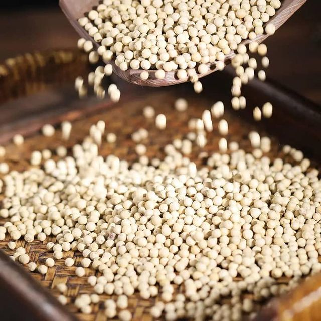 WHITE PEPPER FOR SALE - Image 4