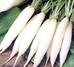 Standard Quality Fresh Radish Exporter from India Address - Type radish Content N/A Color White Style Fresh Model Number - Image 6