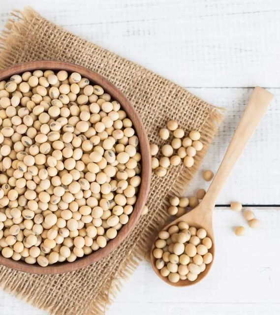 Soybeans For Sale Suitable For Soy Milk Tofu Animal Feed Oil Production And Other Food Processing - Image 4
