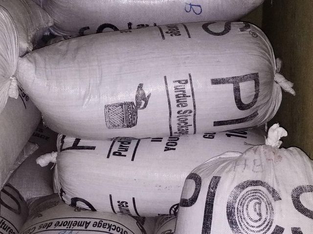 Dried Nigerian Brown Beans/Honey Beans/Drum Beans - Image 4