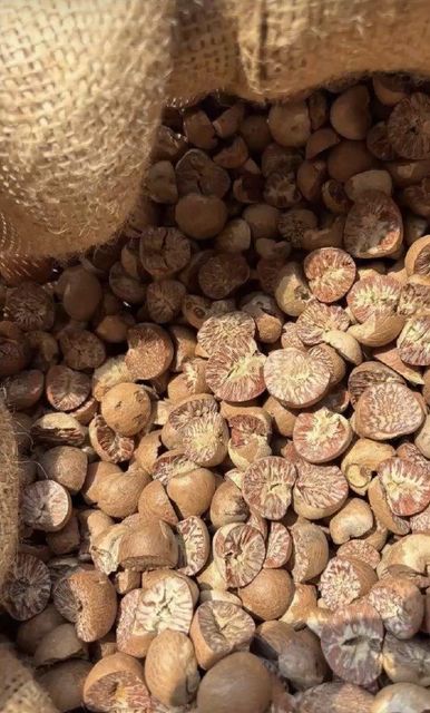 Berel nut/areca nut - Image 2
