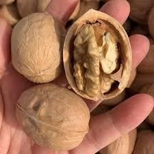 Wholesales Walnut Kernels Blanched Peanuts Nuts and Kernel Peeled Walnuts Raw White Walnuts Edible Kernels - Image 4
