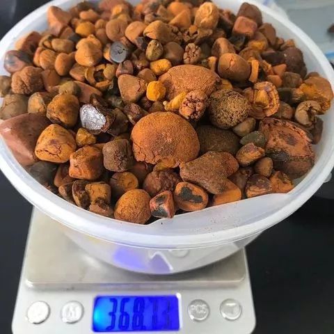 CATTLE GALLSTONES, OX GALLSTONES, COW GALLSTONES - Image 4