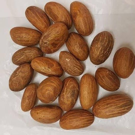 Top Grade BITTER KOLA Buy Direct from Yard Grade AA Shelf Life 6 Packaging 50KG Max. Moisture (%) 12 Cultivation Type - Image 4
